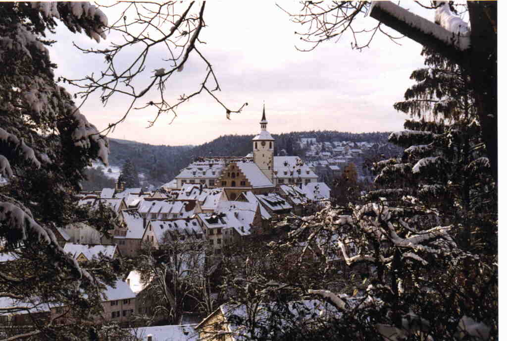 Waldenbuch im Winter '98